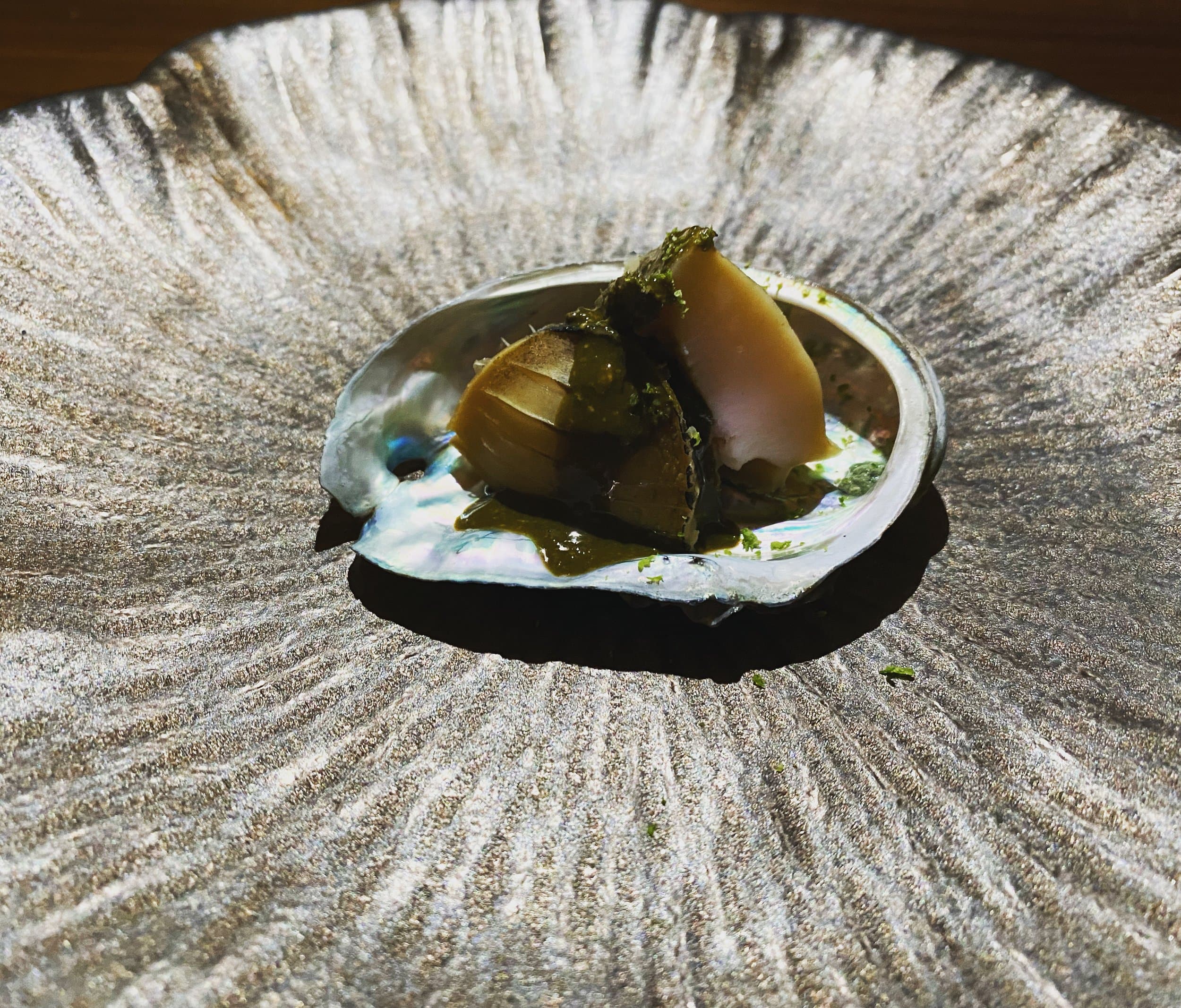 Abalone in shell with seaweed on textured sand surface